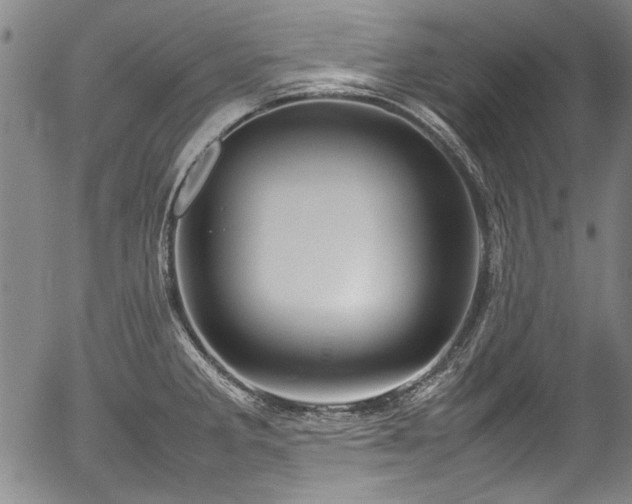 X0000054411285200508011312