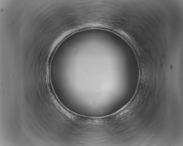 X0000054411286200508011312