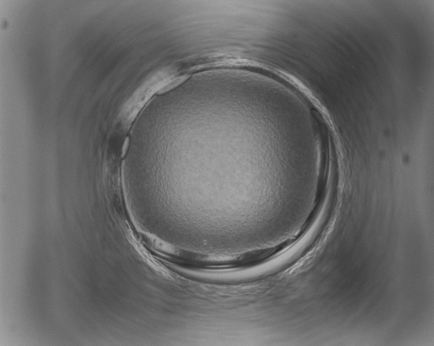 X0000054411289200508011312