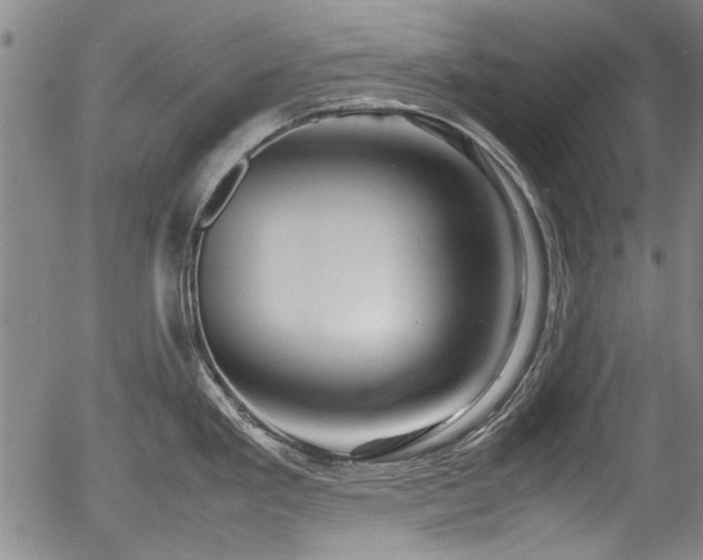 X0000054411293200508011312