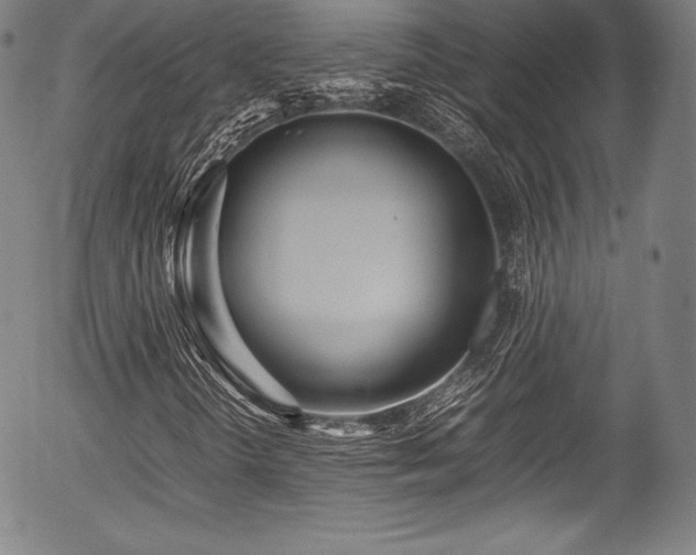 X0000054411298200508011311