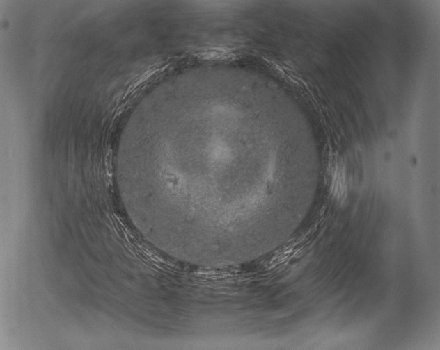 X0000054411301200508011311