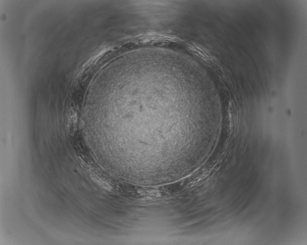 X0000054411302200508011311