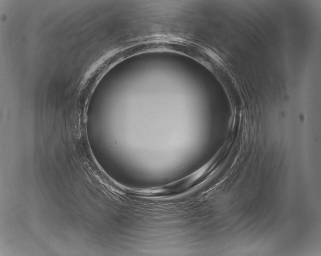 X0000054411310200508011311