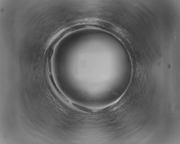 X0000054411312200508011311