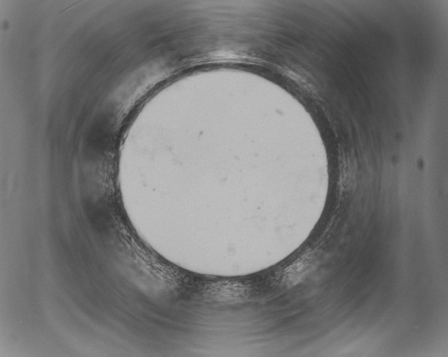 X0000054411314200508011311