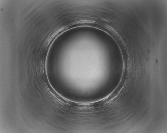 X0000054411321200508011311