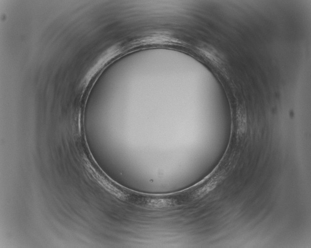 X0000054411322200508011311