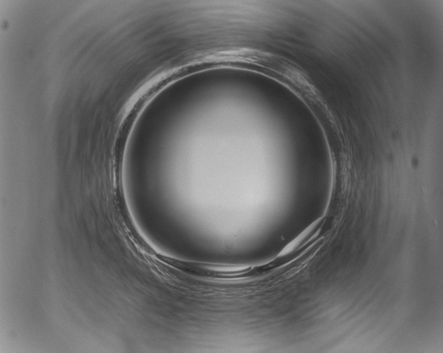 X0000054411328200508011312