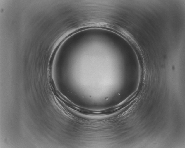 X0000054411332200508011312