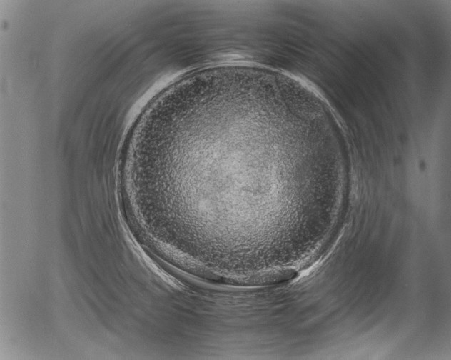 X0000054411333200508011312