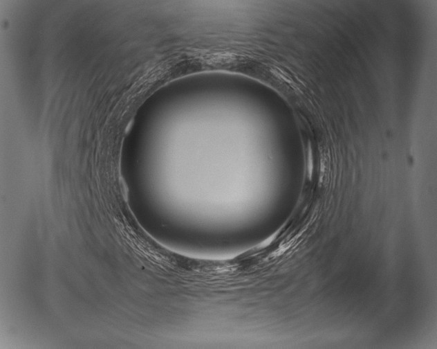 X0000054411345200508011311