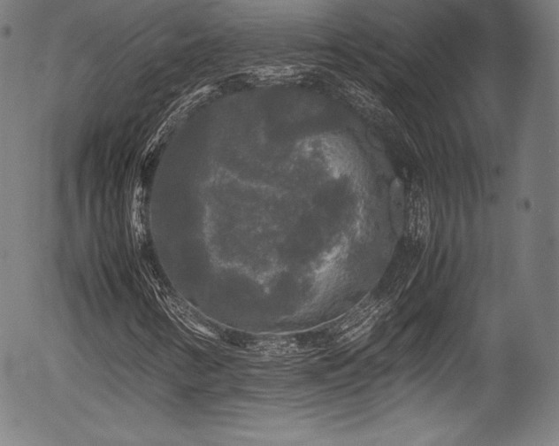 X0000054411346200508011311