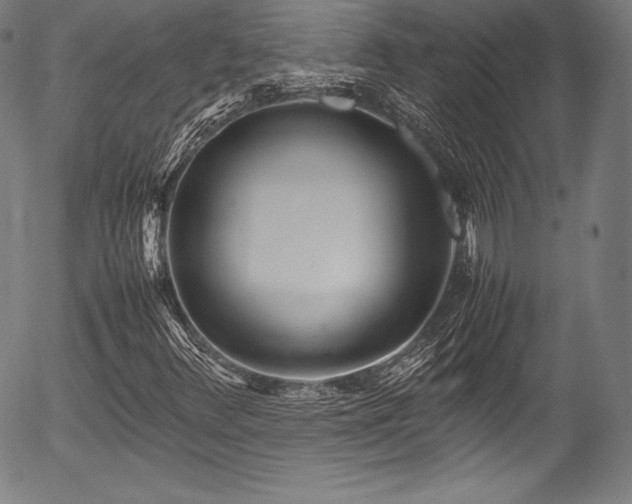 X0000054411348200508011311
