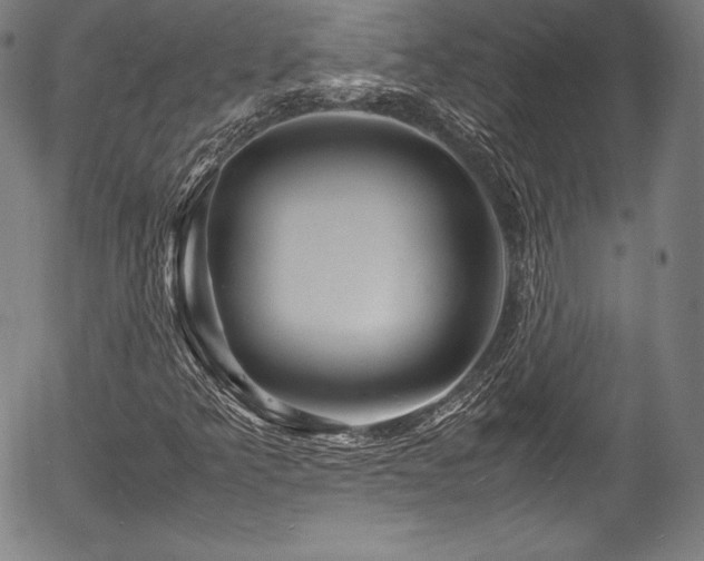 X0000054411349200508011311