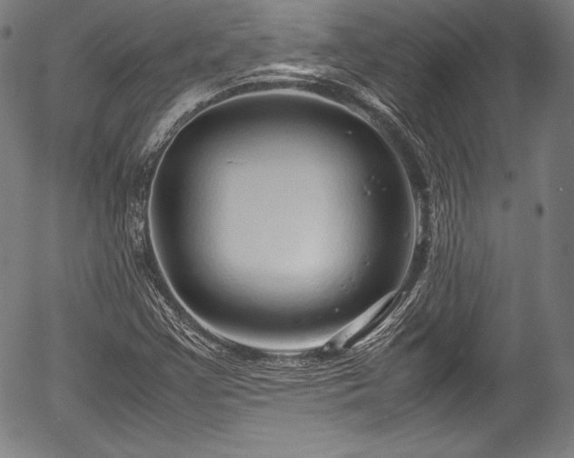 X0000054411355200508011311