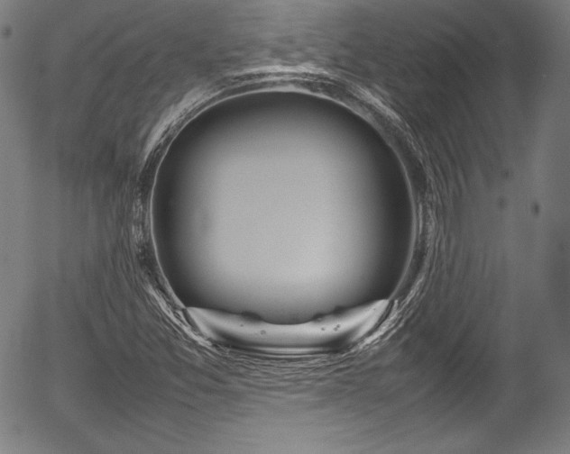 X0000054411357200508011311