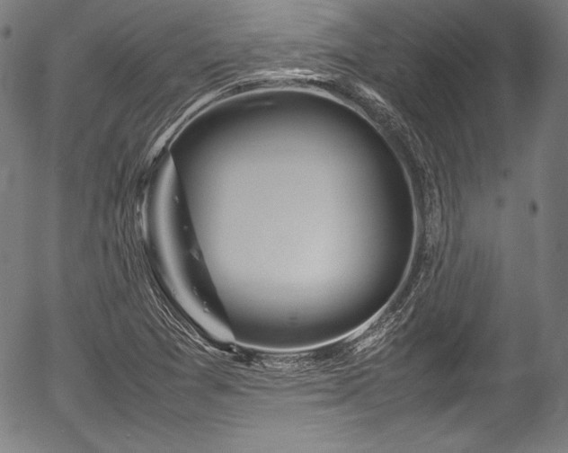 X0000054411361200508011311