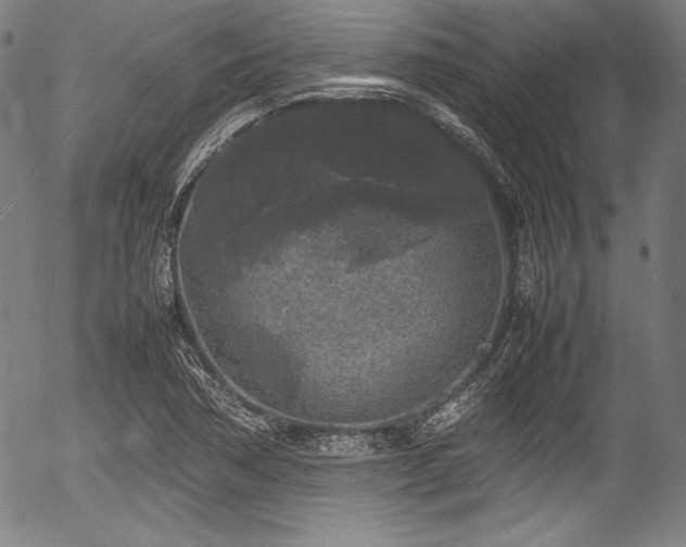 X0000054411362200508011311