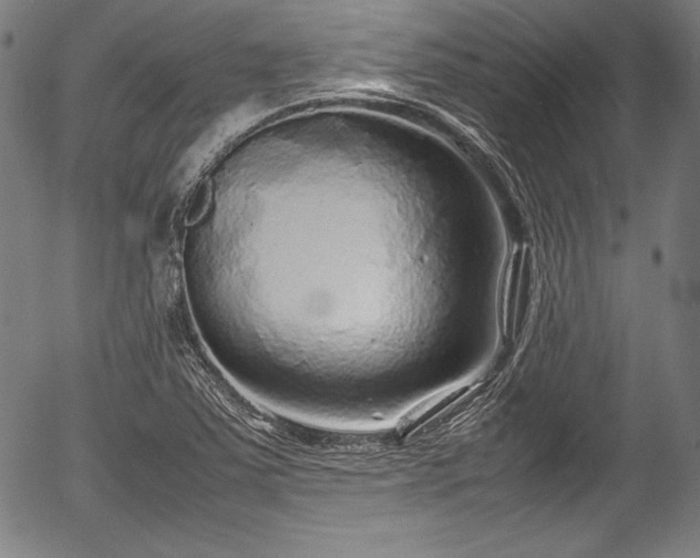 X0000054411363200508011311