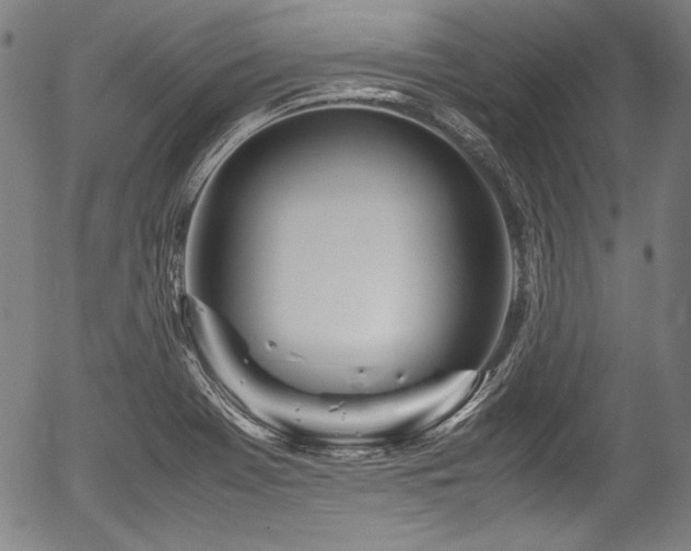 X0000054411369200508011311