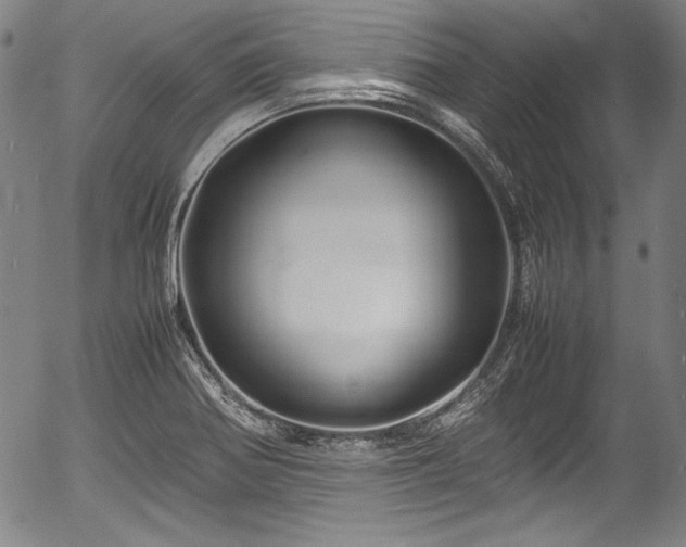 X0000054411370200508011311