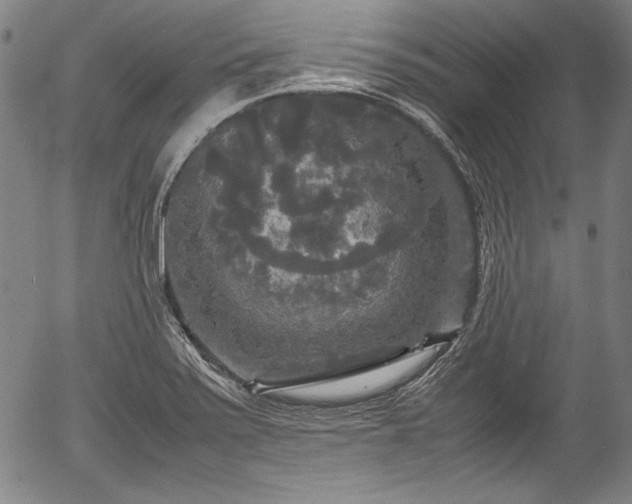 X0000054411371200508011311