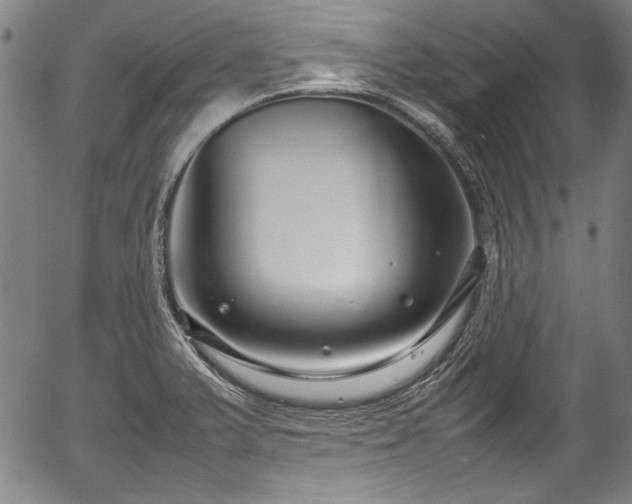 X0000054411375200508011311