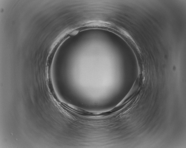 X0000054411376200508011311