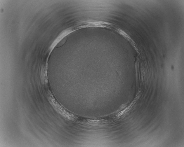 X0000054411378200508011310