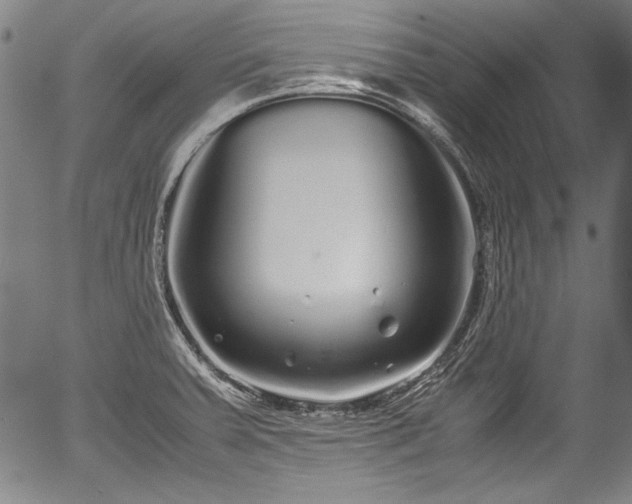 X0000054411379200508011310