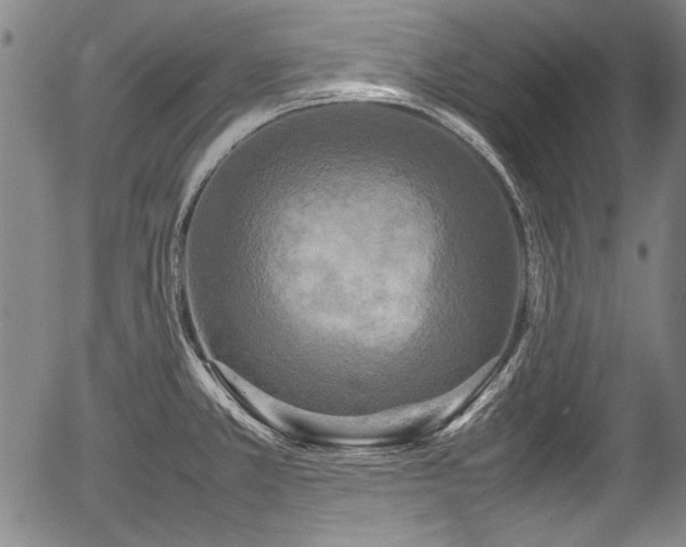 X0000054411381200508011310