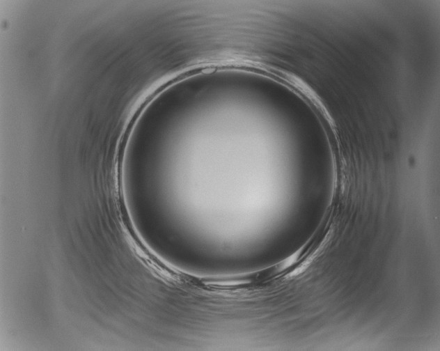 X0000054411388200508011310