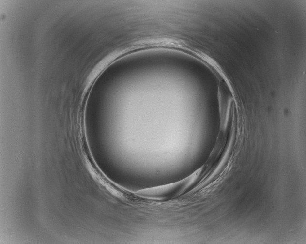 X0000054411389200508011310