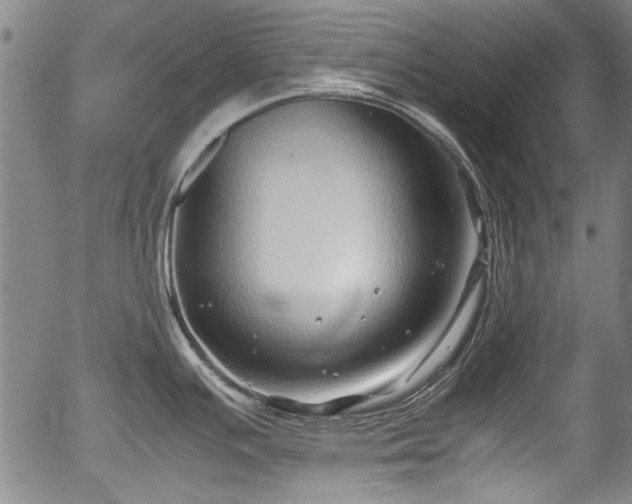 X0000054411391200508011310