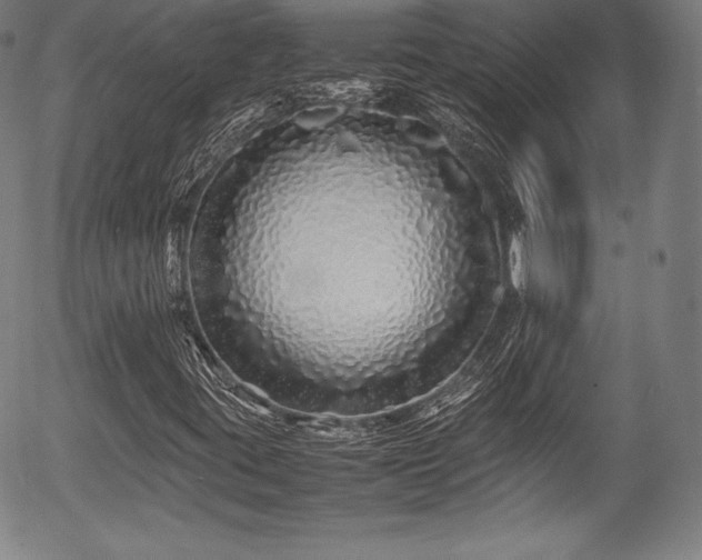 X0000054411395200508011309