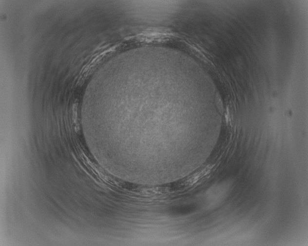 X0000054411396200508011309