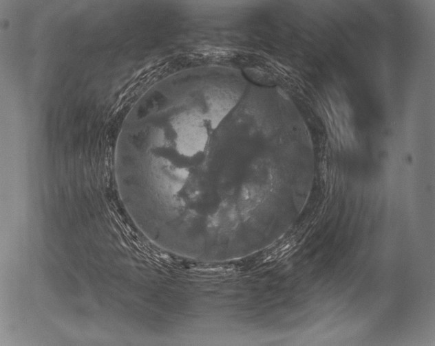 X0000054411397200508011309