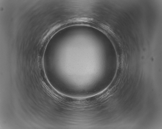 X0000054411404200508011310