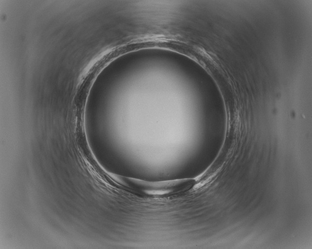 X0000054411406200508011310