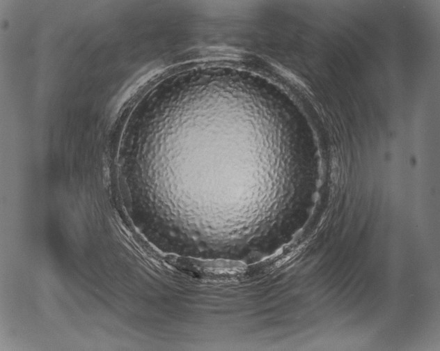 X0000054411407200508011310
