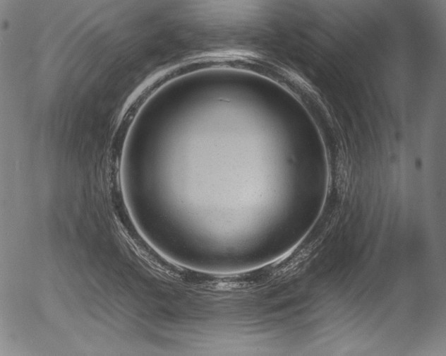 X0000054411412200508011310