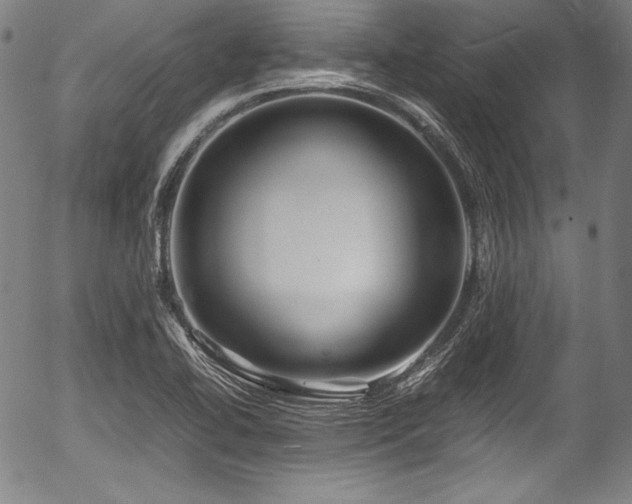 X0000054411414200508011310