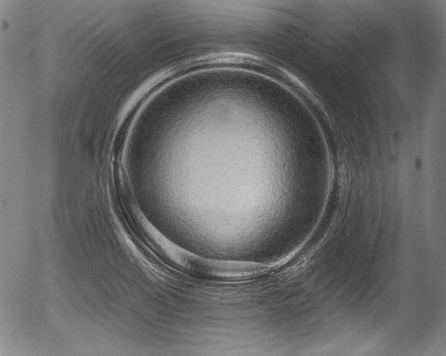 X0000054411418200508011310