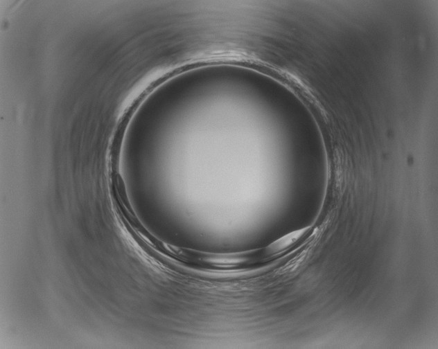 X0000054411422200508011310