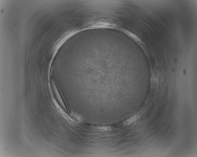 X0000054411423200508011310