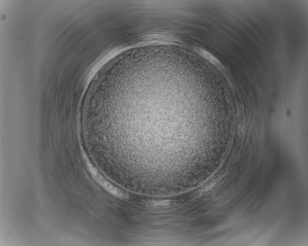 X0000054411431200508011310