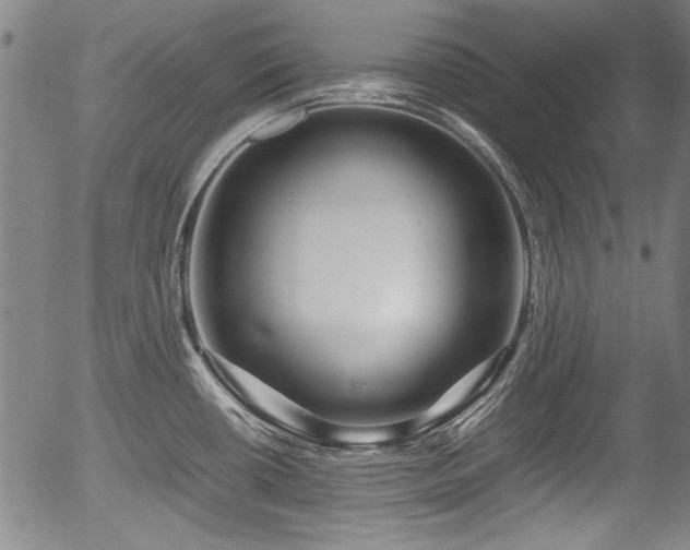 X0000054411434200508011310