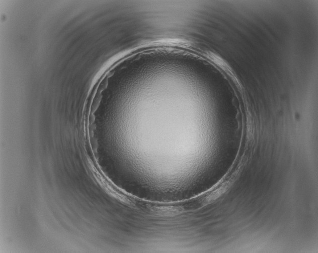 X0000054411436200508011310