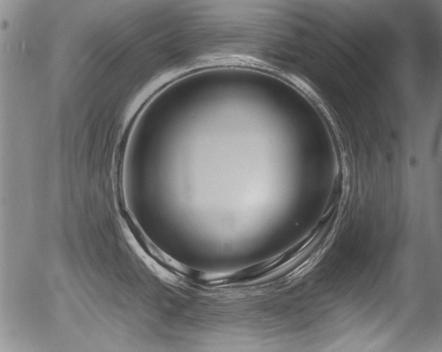 X0000054411438200508011310
